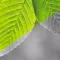Convert Color To Gray Unity kMT