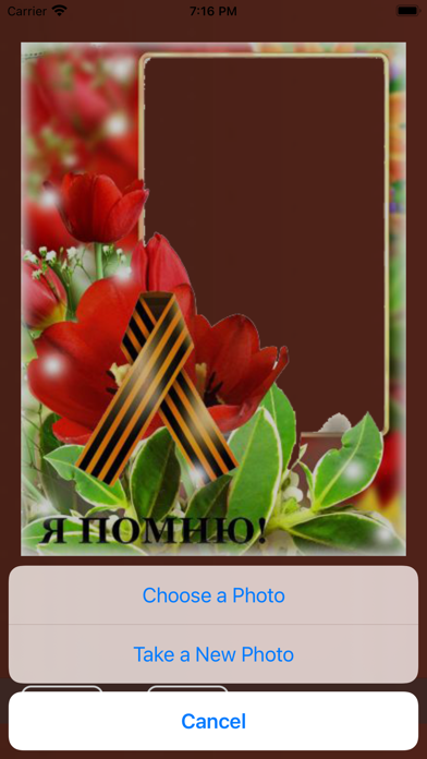 Immortal regiment Screenshots
