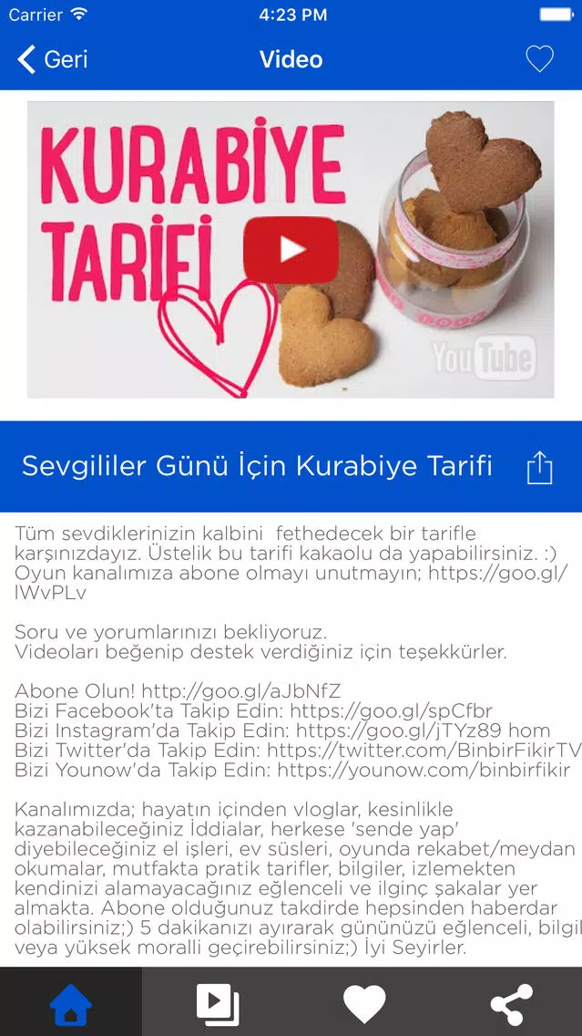 Binbir Fikir Screenshots