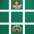 Selfie Tic-Tac-Toe