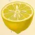 Citric Acid Cycle Tutor