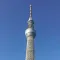 Skytree Camera