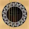 Singer's Guitar