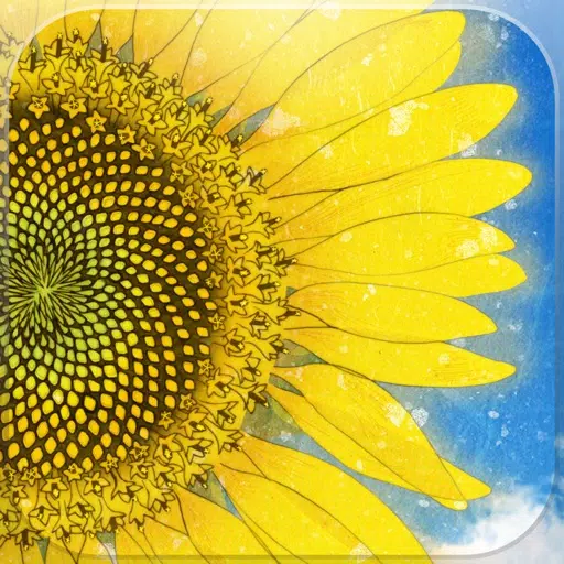 Hima chan/ A story of a sunflower in Kadonowaki Hima chan/ A story of a sunflower in Kadonowaki
