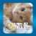 Aha-Experience Landscapes of the cat