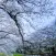素読 - Sodoku