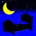 Midnight Video Camera
