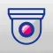 NVS Viewer