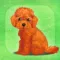 My Dog Life -Toy Poodle Edition-
