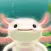 Axolotl Pet