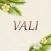 エステ・スパ　VALI