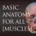 basic anatomy for all [muscles]