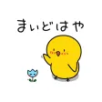 Chick JP Toyama Sticker