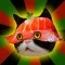 Face in Sushi