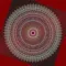prime-number Mandala