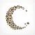 Tsuki Coffee 公式アプリ