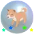 Bubble Crash
