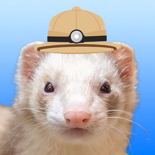 Ferret Explorer Ferret Explorer