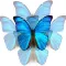 N'Back Butterfly