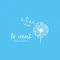 Le vent DRY HEAD SPA