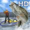 Bass Fishing 3D HD
