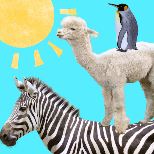 Animal Tower Animal Tower
