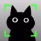 BlackCatCamera