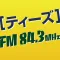 TEES-843FM