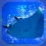 Aquarium Manta Simulation Game