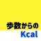 歩数カロリー消費計算アプリ