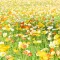 Sound Novel Butterfly