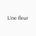Une fleur
