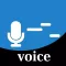 Voice Tuner 12