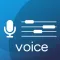 VOICE TUNER PRO 13