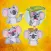 Cute Koala Stickers