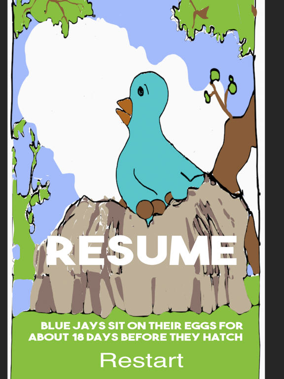 Bird Games iPad  Screenshots