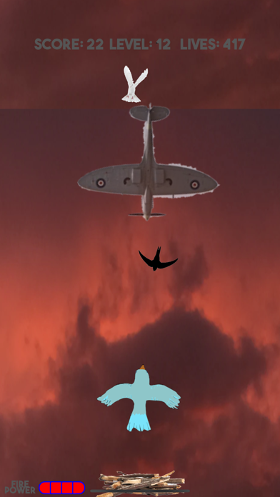 Bird Games Screenshots