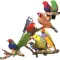 Birds Voice