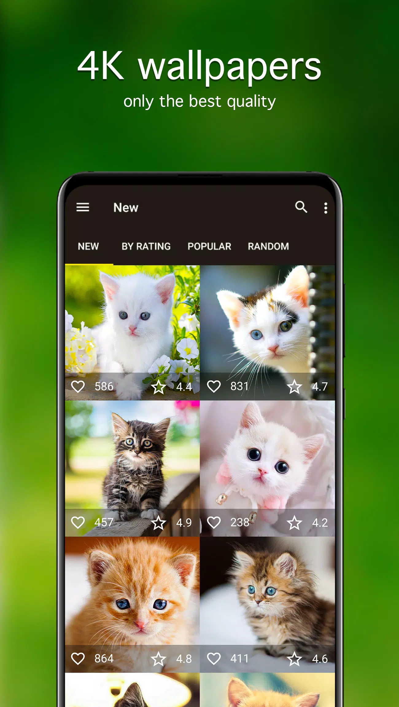 Kitten Wallpapers 4K Screenshots