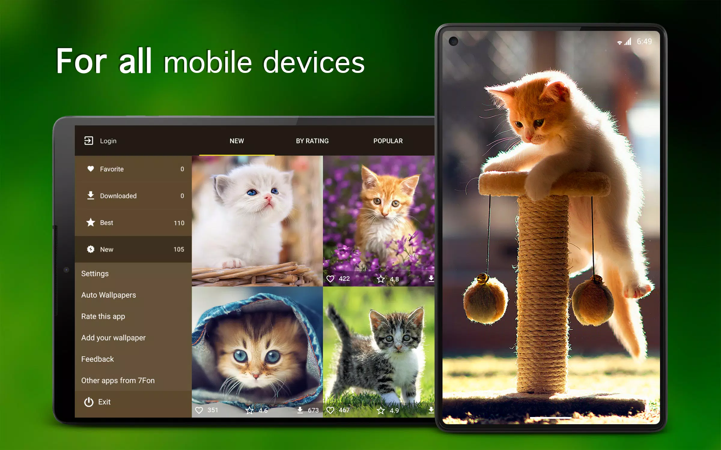 Kitten Wallpapers 4K Screenshots