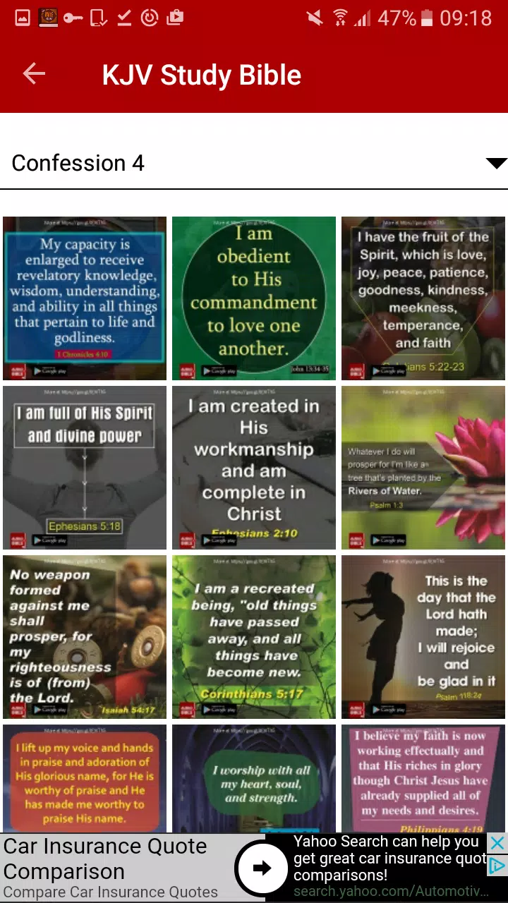KJV Study Bible应用截图