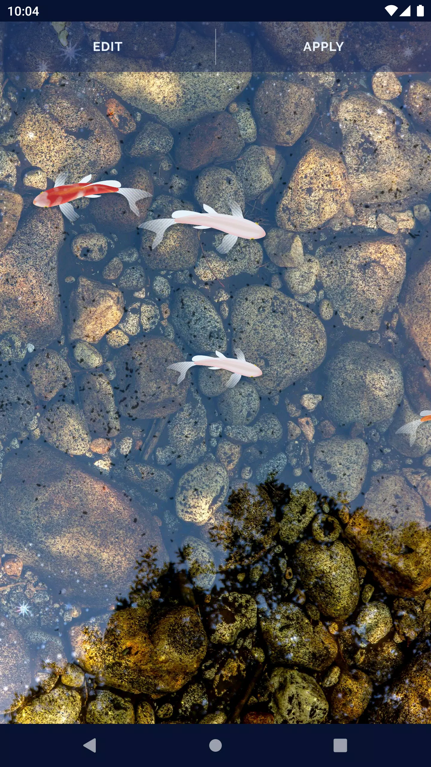Fish 4K HD Koi Live Pond 3D Screenshots