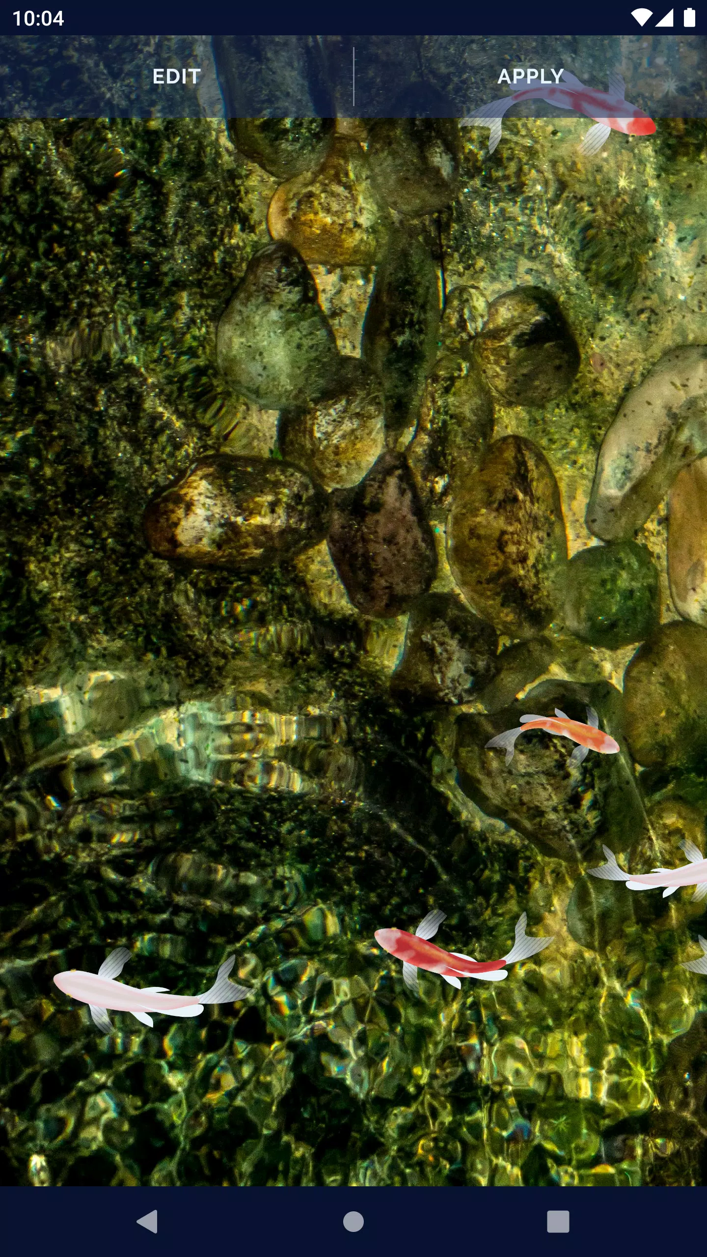 Fish 4K HD Koi Live Pond 3D Screenshots