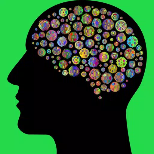 Brain Stuff Brain Stuff