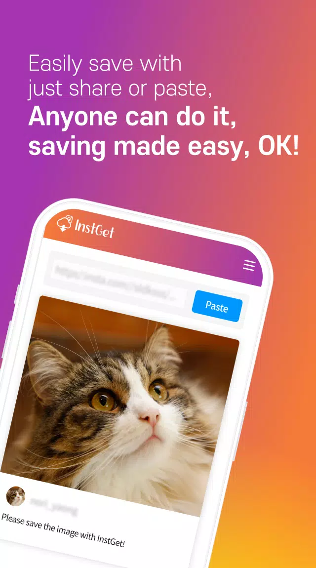 InstGet - Easy and Fast Screenshots