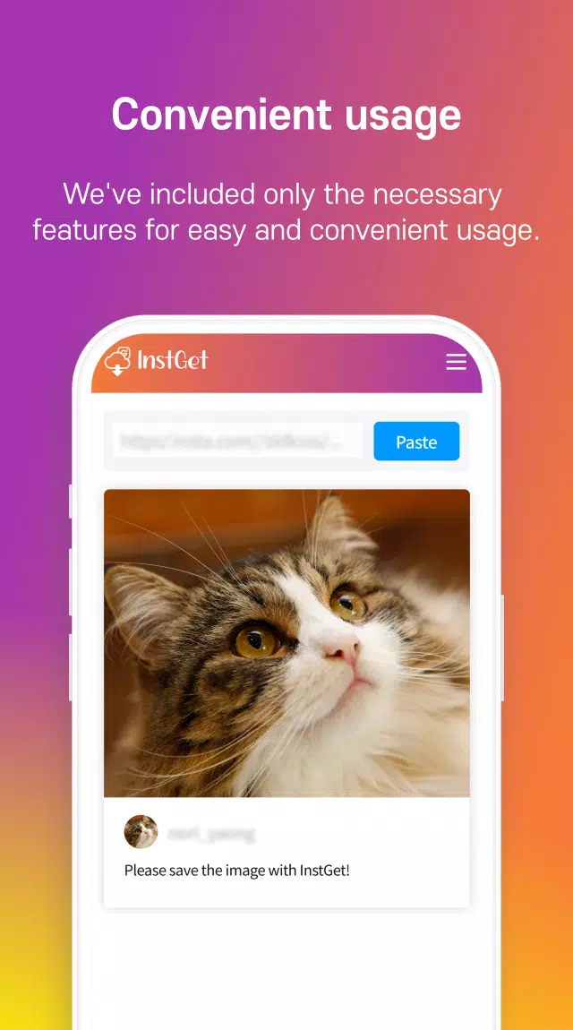 InstGet - Easy and Fast Screenshots