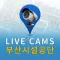 Bisco Live:부산시설공단 CCTV 모니터링