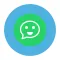 Selfie Stickers