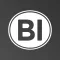 BI Group Partners