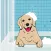 Labrador Retriever Stickers